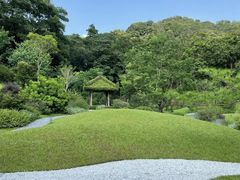 -云溪植物园