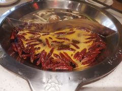 菌汤鸳鸯锅-大龙燚火锅