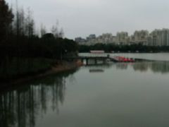 -南翔镇银翔湖公园