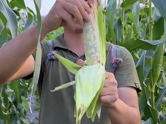 -广东惠东海龟国家级自然保护区