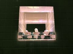 -金泽21世纪美术馆