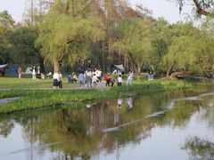 -上海共青森林公园