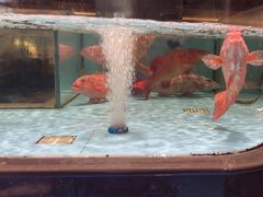 -阿伟海鲜楼·福建菜(延寿店)
