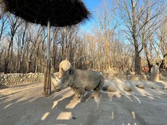 -北京野生动物园