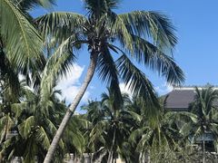 -海南清水湾莱佛士酒店