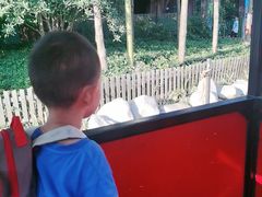 -合肥融创乐园