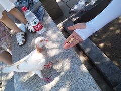 -龙口南山旅游景区