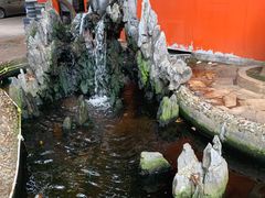 -荔城生鲜盛宴(番禺旗舰店)