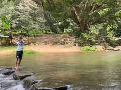 -广州市石门国家森林公园