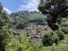 -杨家堂村