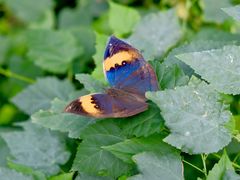 -上海动物园(地铁站)