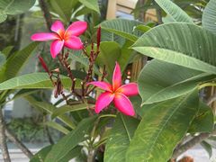 -演武大桥观景平台