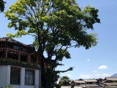 -丽江古城第一观景台