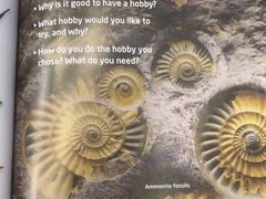 -I-Shine英语国际教育(大三林中心)