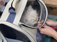 -四月宠物医院·猫专科·心脏专科·内科(转塘店)