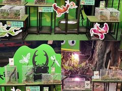 -正佳雨林生态植物园