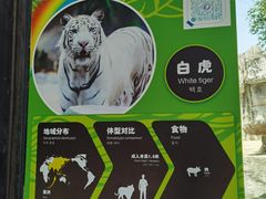 -灵玲国际马戏城