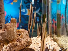 -太平洋海底世界