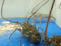 -后田海鲜餐厅(南澳香湖湾店)