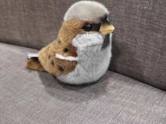 -清真-戏楼王记牛肉面