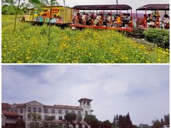 -歌斐颂巧克力小镇