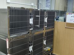 -中农大我爱我爱24h动物医院·中医针灸·猫专科·骨科医疗中心(双井店)