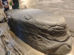 -白鹤梁水下博物馆