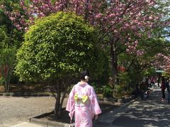 -东京浅草和服体验江户和装工房雅(浅草本店)