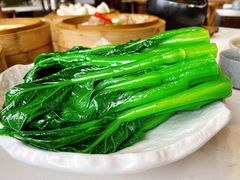 堂灼宁夏菜心-乜都得港式茶楼(天贵路店)