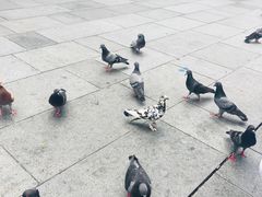 -詹爷爷乌节路街头冰淇淋