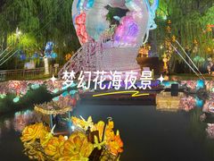 -淄博花灯齐彩城