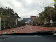 -铁山坪森林公园