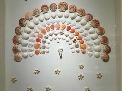 -青岛贝壳博物馆