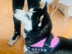 -周三的情书花园餐厅(江北店)