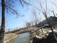 -东郊湿地公园