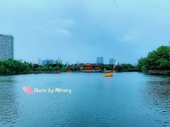 景点-月湖公园