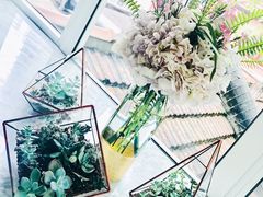 -蝶舍·MAISON PAPILLON