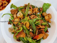 茶籽油农家小炒肉-眉州东坡(亚运村店)