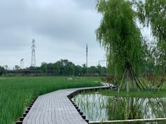 -永定河休闲森林公园