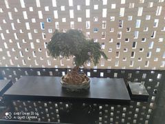 -浪里白·家宴(安德门大街店)