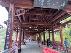-重庆彩云湖湿地公园