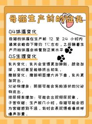 点击看大图 -神奇动物撸宠馆·羊驼·小浣熊·异宠(豫园店)