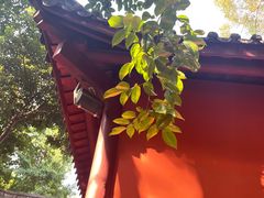 -成都武侯祠博物馆