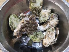 -爱蚝屋