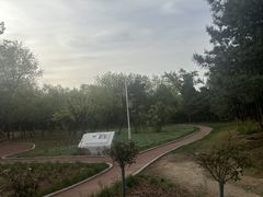 -滨河世纪广场公园