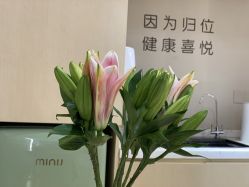-归位瑜伽＆普拉提馆