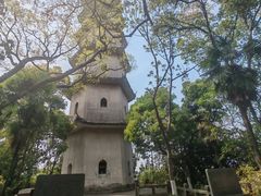 -江心屿景区