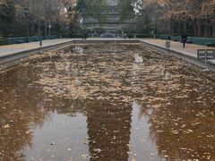 -玲珑塔公园