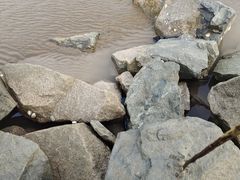 -平湖九龙山旅游度假区