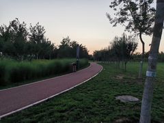 -瀛海足球主题公园